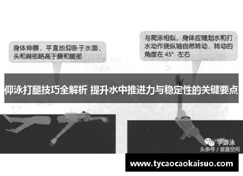 仰泳打腿技巧全解析 提升水中推进力与稳定性的关键要点