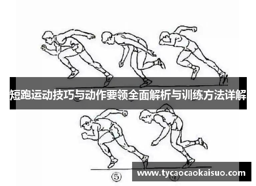 短跑运动技巧与动作要领全面解析与训练方法详解