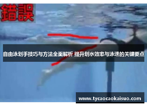 自由泳划手技巧与方法全面解析 提升划水效率与泳速的关键要点