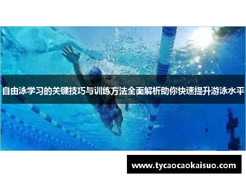 自由泳学习的关键技巧与训练方法全面解析助你快速提升游泳水平