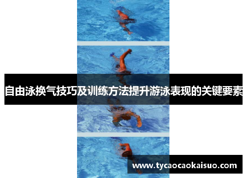 自由泳换气技巧及训练方法提升游泳表现的关键要素