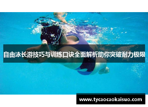 自由泳长游技巧与训练口诀全面解析助你突破耐力极限