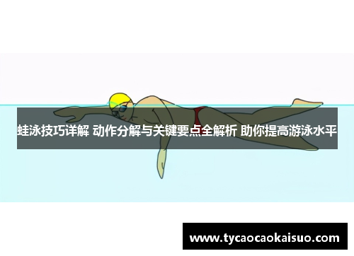 蛙泳技巧详解 动作分解与关键要点全解析 助你提高游泳水平